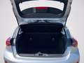 Ford Focus Active 1.0 ecoboost h s&s 125cv my20.75 Grigio - thumbnail 7