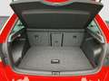 Skoda Rapid/Spaceback Rapid Spaceback 1,6 TDI Elegance  Erstbesitz/Na... Rot - thumbnail 19