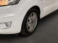 Ford Grand Tourneo Connect Titanium 1,5 TDCI*Spur*Pan Weiß - thumbnail 33