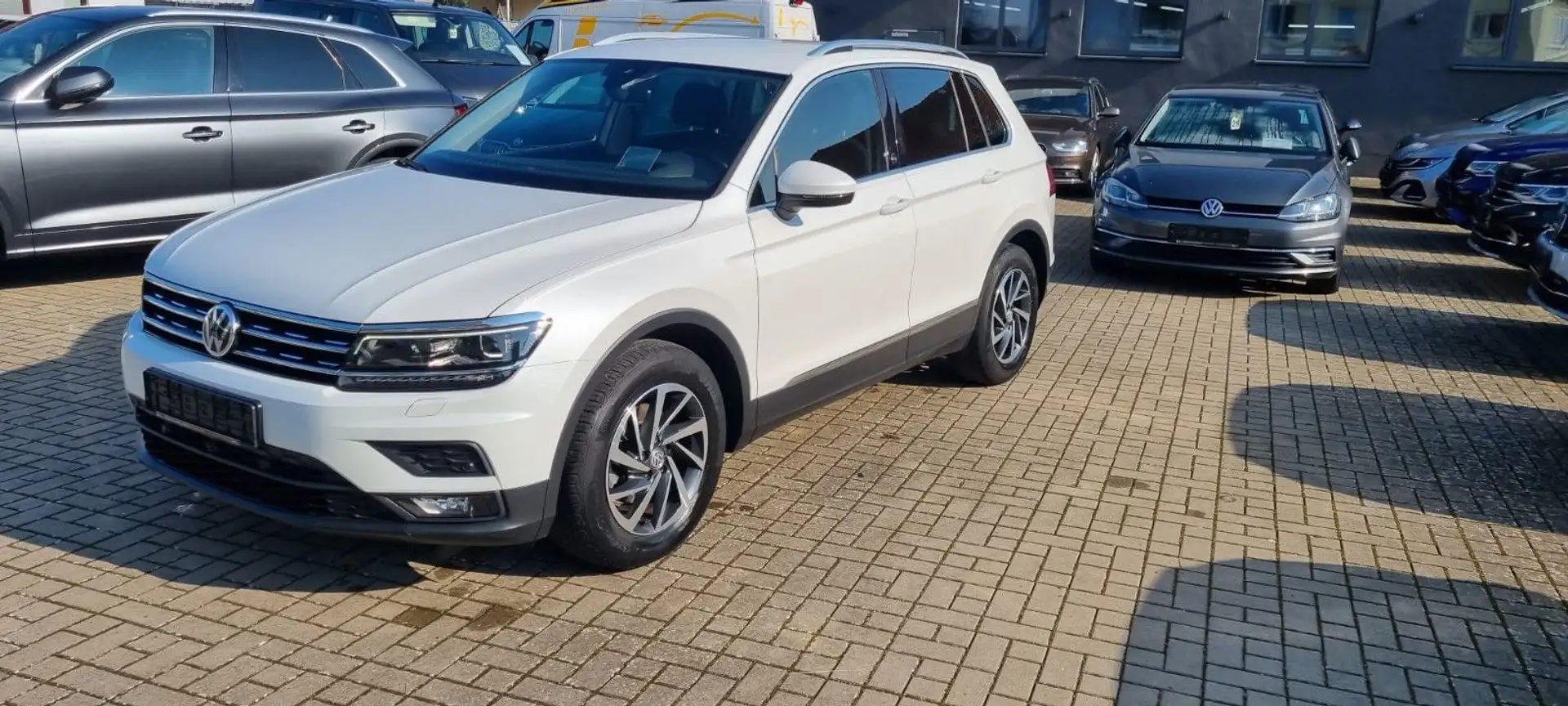 Volkswagen Tiguan 1.4 TSI DSG Sound LED AHK schwenkb. Weiß - 1
