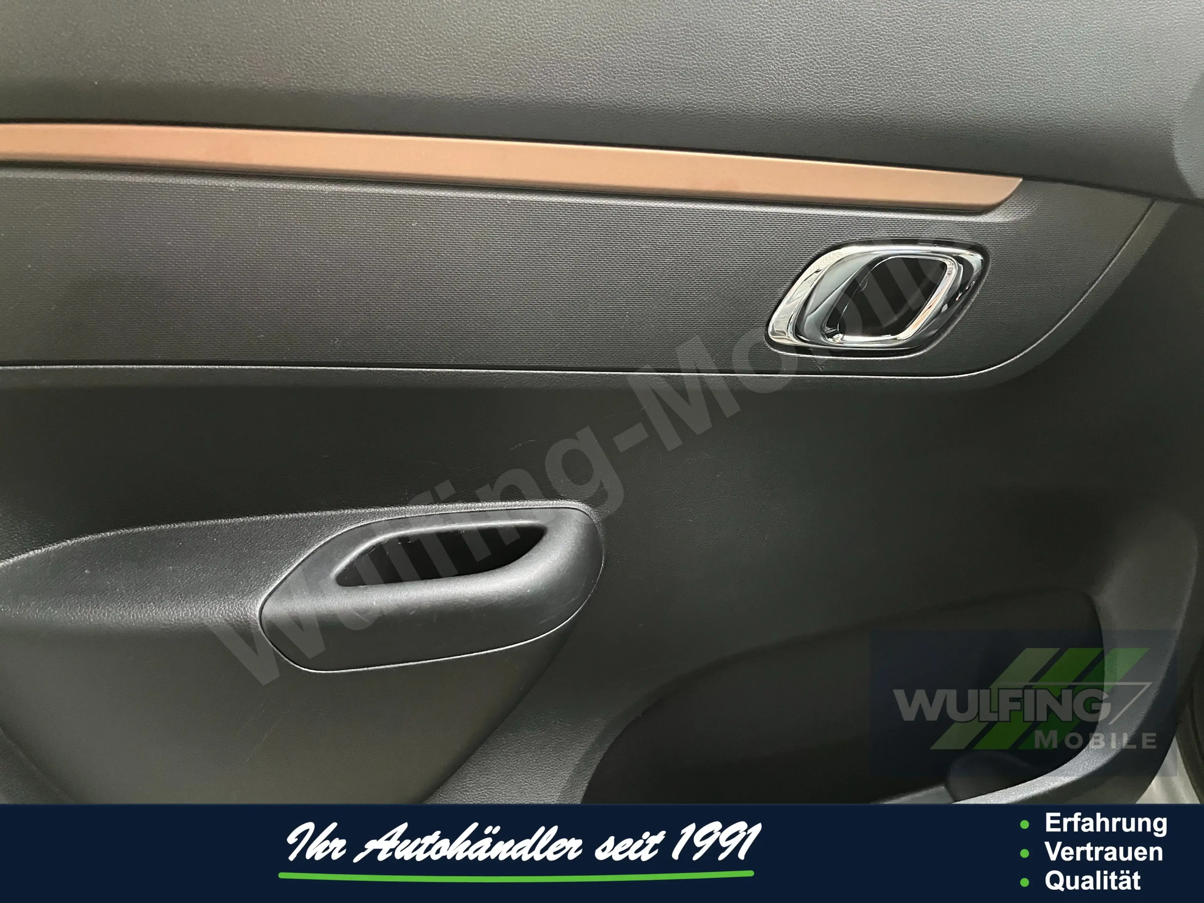 Dacia Spring Extreme Electric 65 — photo 13