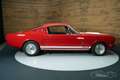 Ford Mustang Fastback | 351 CUI Windsor V8 motor | 1966 Rood - thumbnail 13