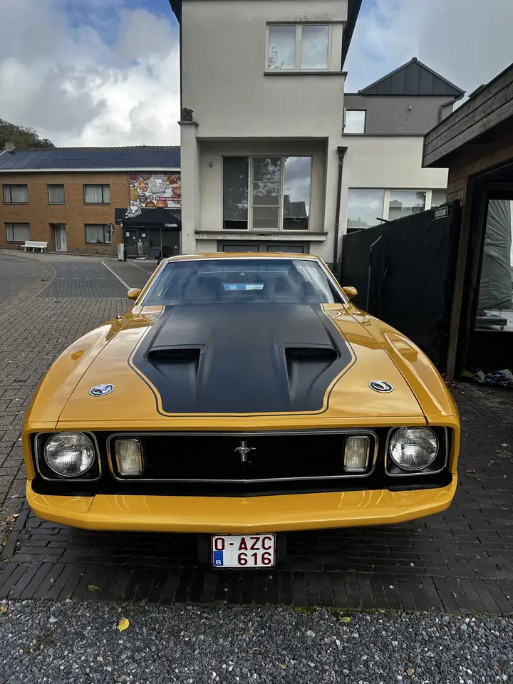 Ford Mustang V8 Mach 1 Sportsroof, foto 2