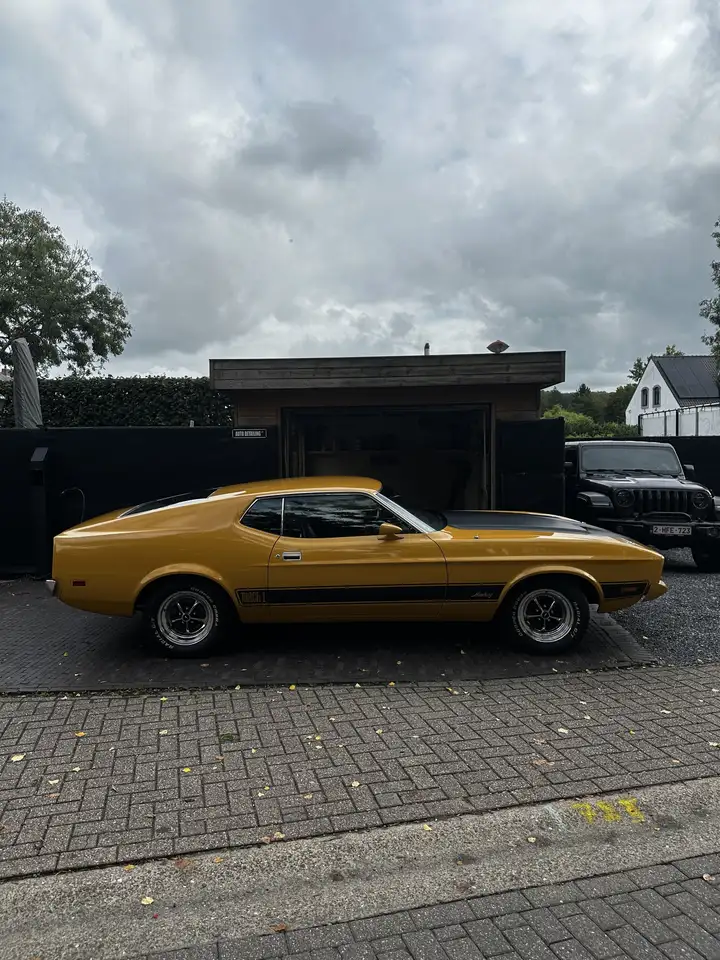 Ford Mustang V8 Mach 1 Sportsroof, foto 8