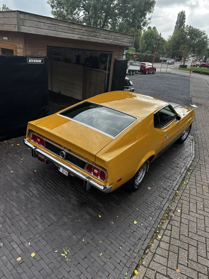 Ford Mustang V8 Mach 1 Sportsroof, foto 6