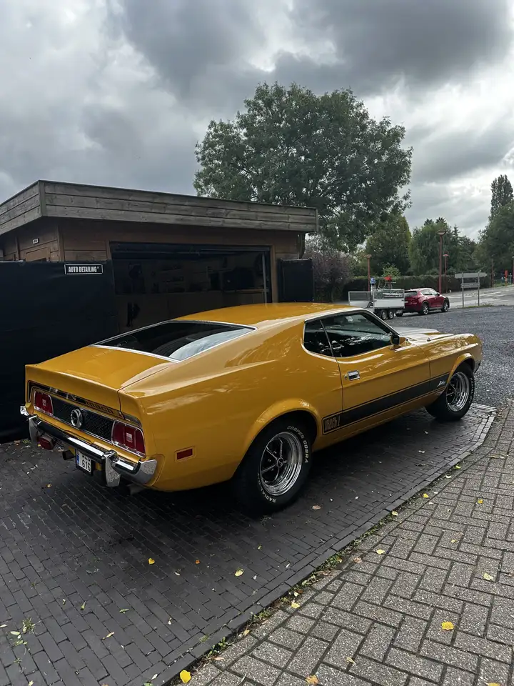 Ford Mustang V8 Mach 1 Sportsroof, foto 7