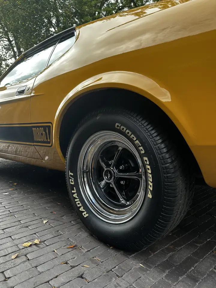 Ford Mustang V8 Mach 1 Sportsroof, foto 4