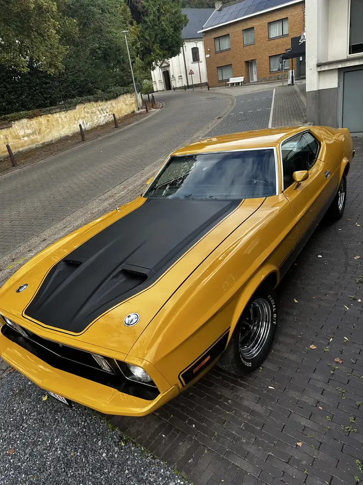 Ford Mustang V8 Mach 1 Sportsroof, foto 3