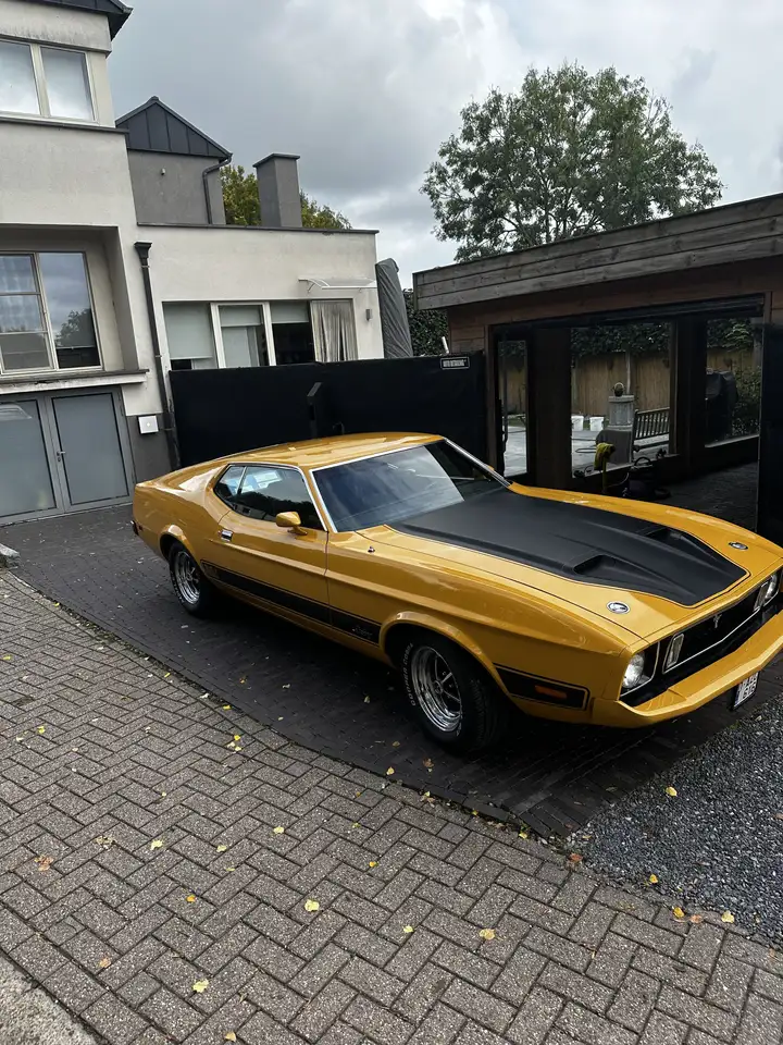 Ford Mustang V8 Mach 1 Sportsroof, foto 1