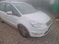 Ford Galaxy Galaxy Business Edition 7 Sitze Automatic Alb - thumbnail 2