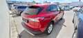 Ford Kuga Cool&Connect 1,5 EcoBoost Rot - thumbnail 3