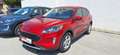 Ford Kuga Cool&Connect 1,5 EcoBoost Rot - thumbnail 1