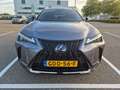 Lexus UX 250h *Zeldzaam in NL* F-Sport Premium AWD *ALLE OPTIES* Grijs - thumbnail 5