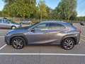 Lexus UX 250h *Zeldzaam in NL* F-Sport Premium AWD *ALLE OPTIES* Grijs - thumbnail 3