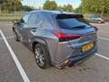 Lexus UX 250h *Zeldzaam in NL* F-Sport Premium AWD *ALLE OPTIES* Grijs - thumbnail 6