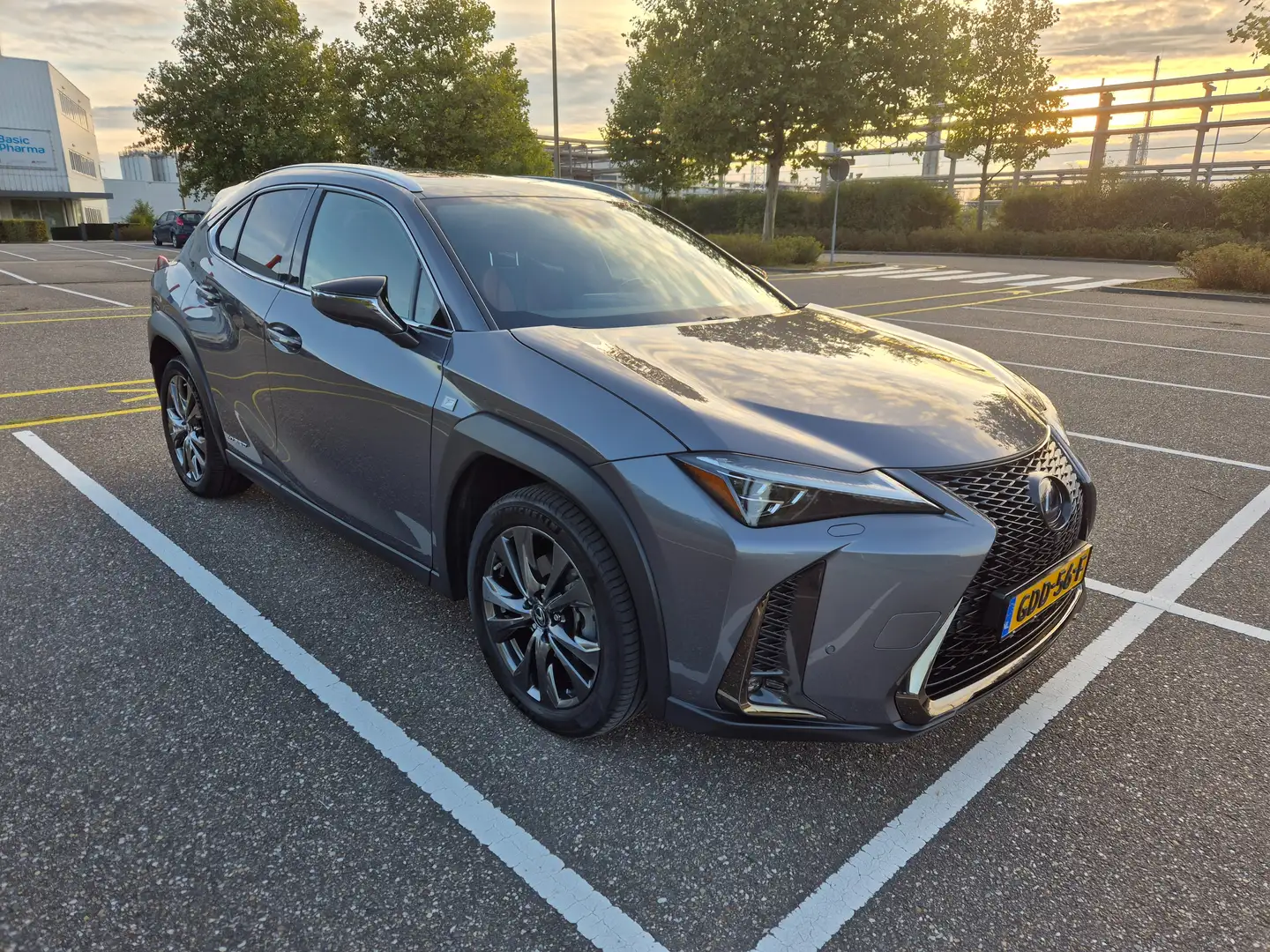 Lexus UX 250h *Zeldzaam in NL* F-Sport Premium AWD *ALLE OPTIES* Grijs - 2