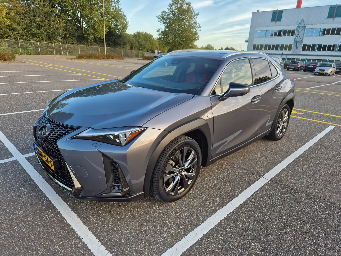 Lexus UX 250h *Zeldzaam in NL* F-Sport Premium AWD *ALLE OPTIES* Grijs - 1