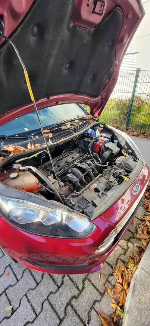Ford Fiesta Fiesta Trend 1,25 Trend Rot - 2