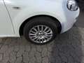 Fiat Punto Evo Klima*ZV*Allwetterreifen* 5 Türen Weiß - thumbnail 4
