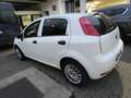 Fiat Punto Evo Klima*ZV*Allwetterreifen* 5 Türen Weiß - thumbnail 6