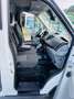 Ford Transit Custom Transit Custom 2,0 TDCI L1H1 340 NEUE PICKERL Weiß - thumbnail 17