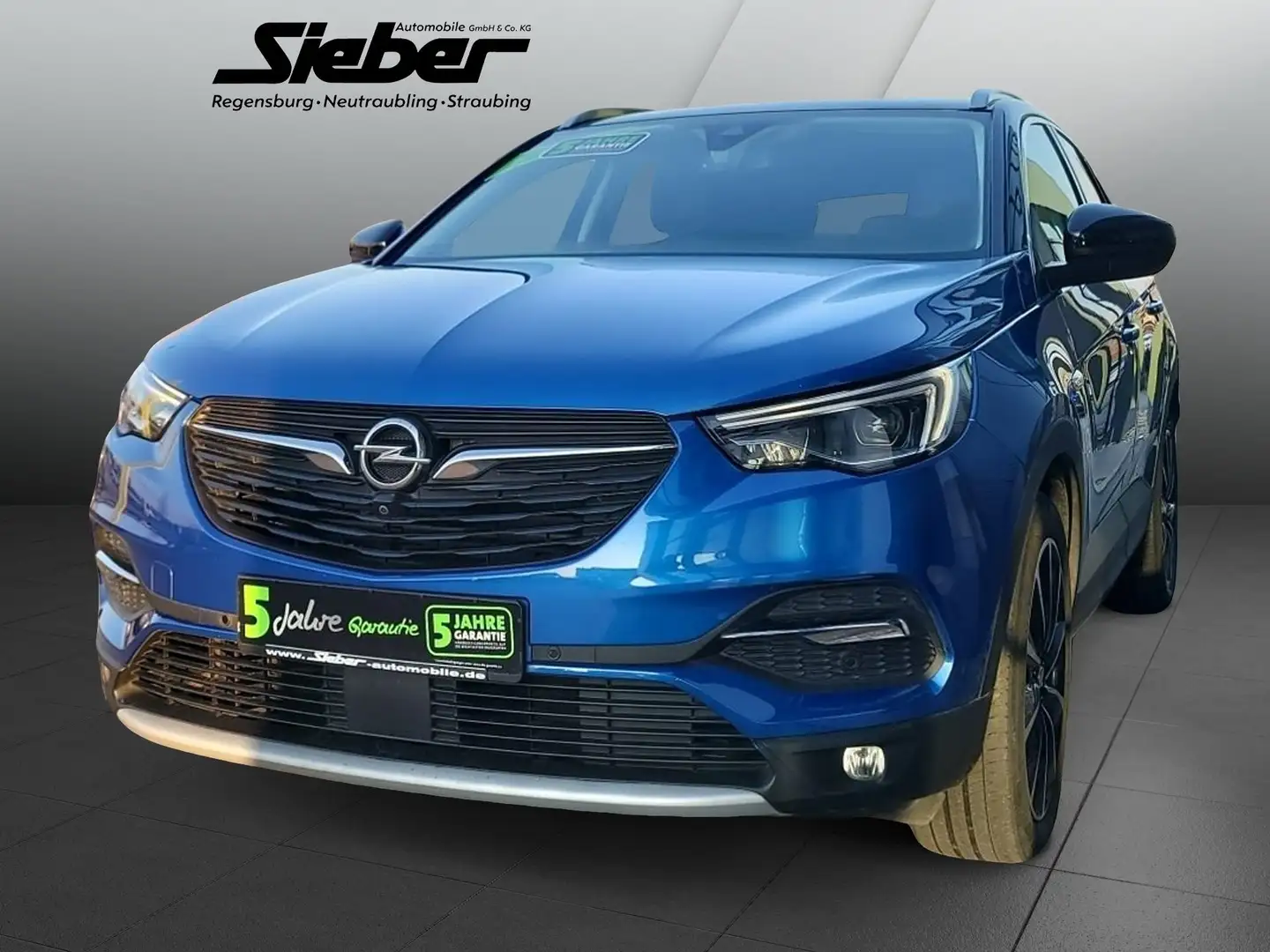 Opel Grandland X 1.5 D Ultimate *Navi*Sitzheizung* Blauw - 2