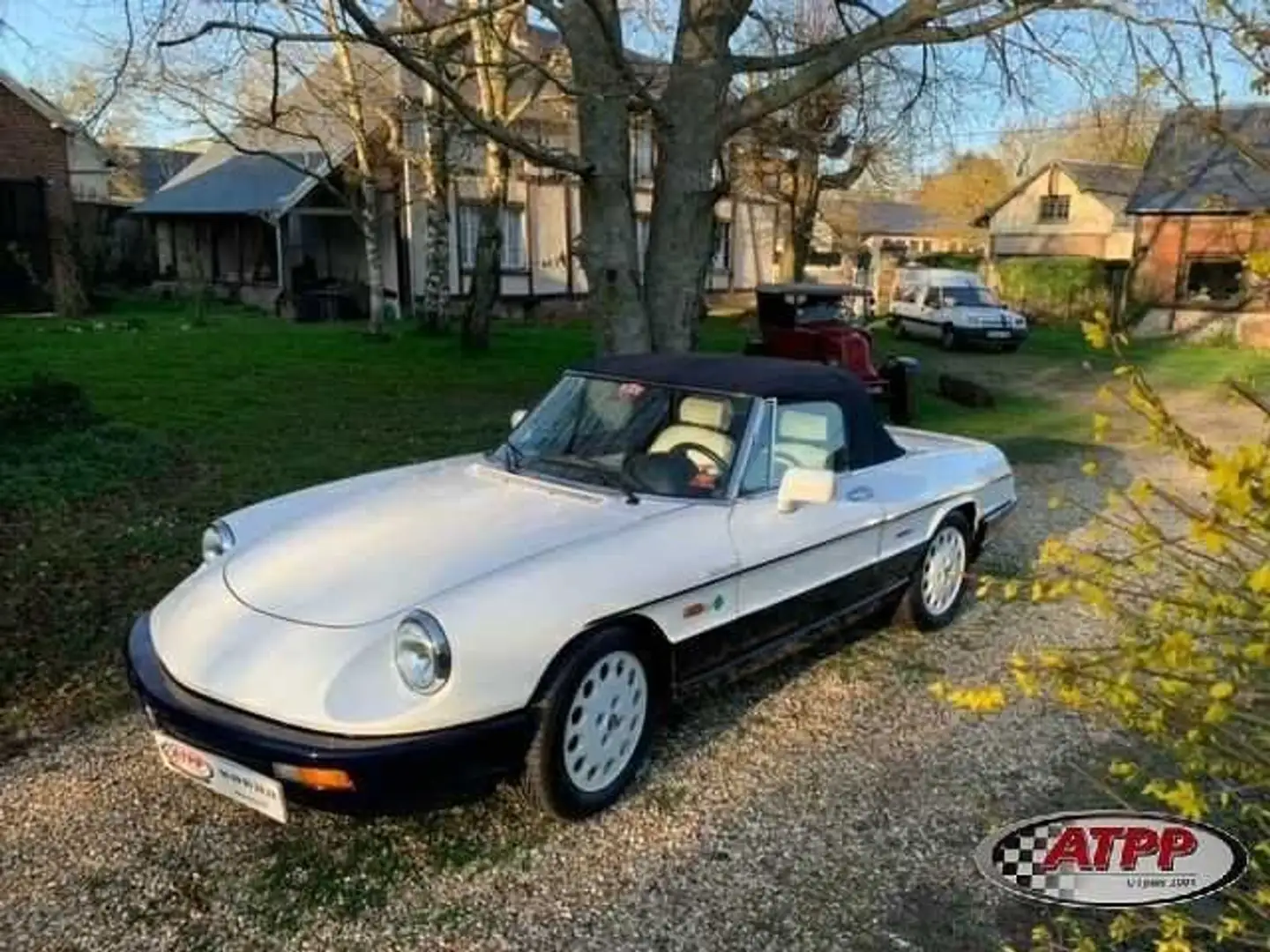 Alfa Romeo Spider S&eacute;rie Limit&eacute;e BEAUT&Eacute; - 2