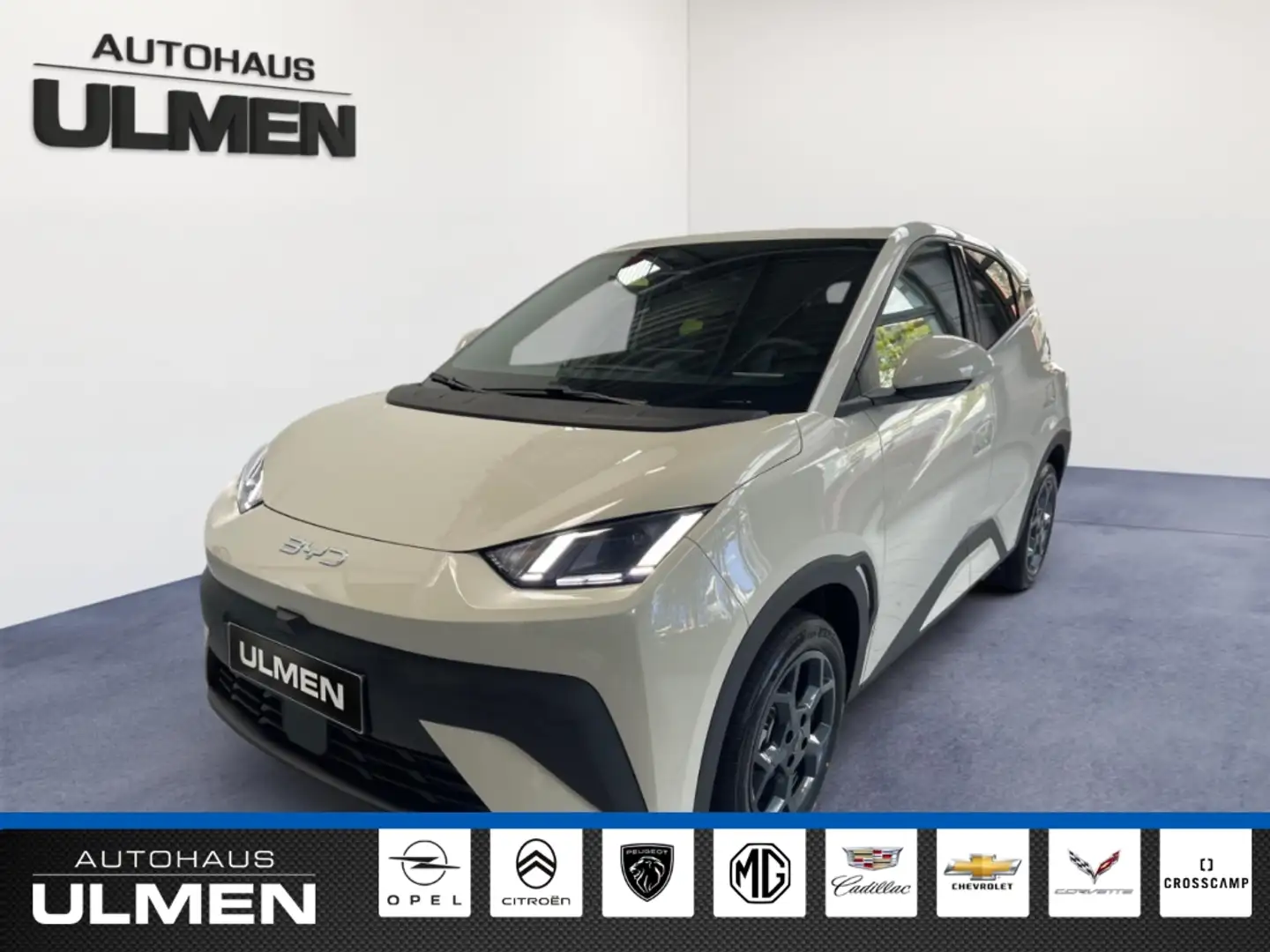 BYD Dolphin 115KW Comfort Leder Navi Sitzheizung DAB+ Soundsys Weiß - 2