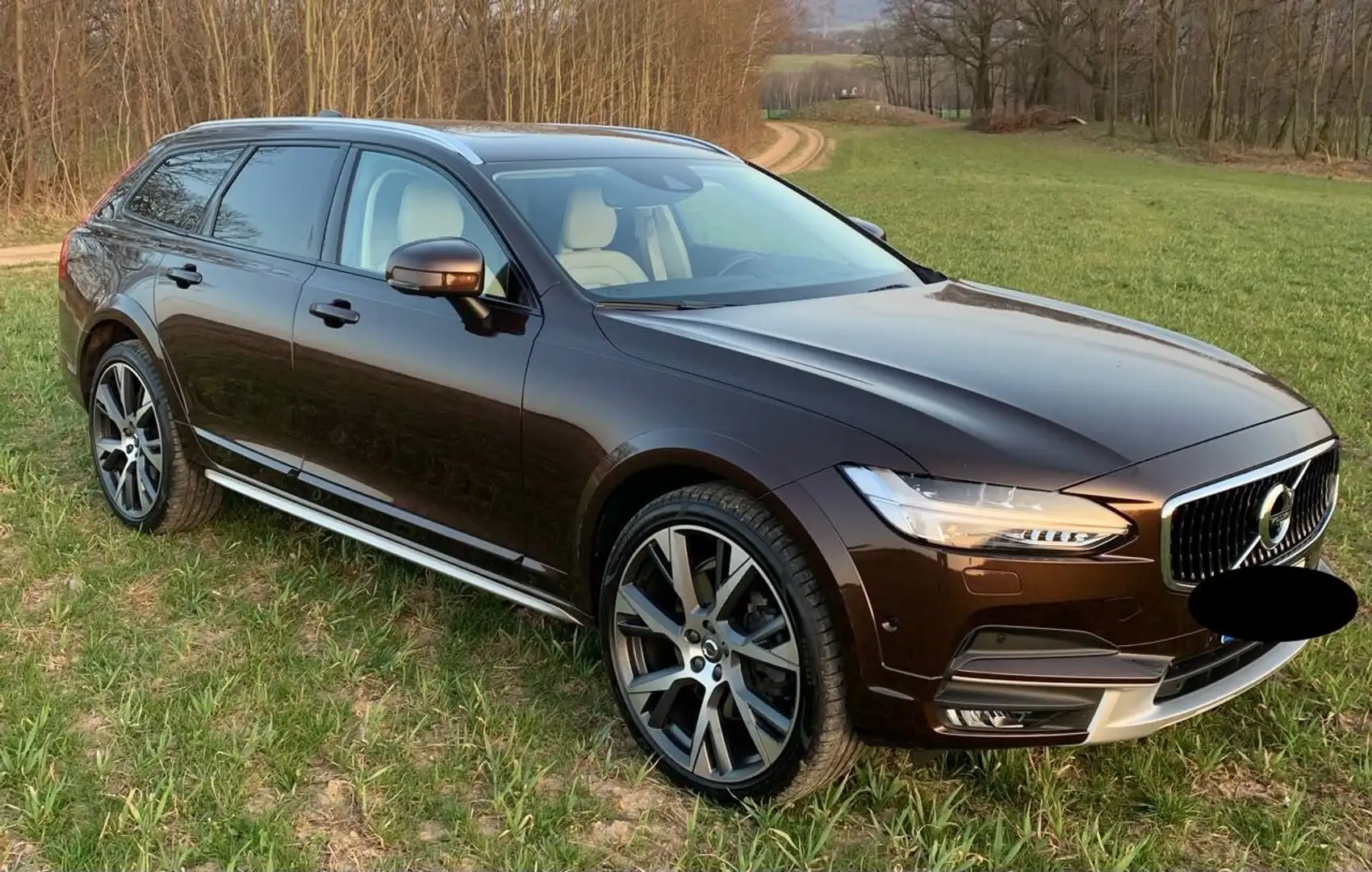 Volvo V90 Cross Country T6 AWD Geartronic Polestar 246 kW/335 PS Brown - 2