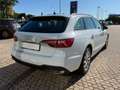 Audi A4 A4 35 TDI/163 CV S tronic Business Bianco - thumbnail 8