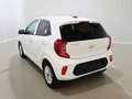 Kia Picanto 1.0 12V 5 porte AMT Vision Bianco - thumbnail 10