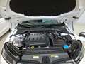 Skoda Octavia Combi Ambition 4x4 2.0 TDI DSG PDC*Tempo White - thumbnail 5