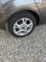 Ford Fiesta Fiesta VI 2013 3p 1.2 Titanium 82cv Gris - thumbnail 21