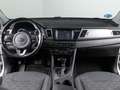 Kia Niro 1.6 GDI PLUG-IN HYBRID DRIVE 5P Blanco - thumbnail 10