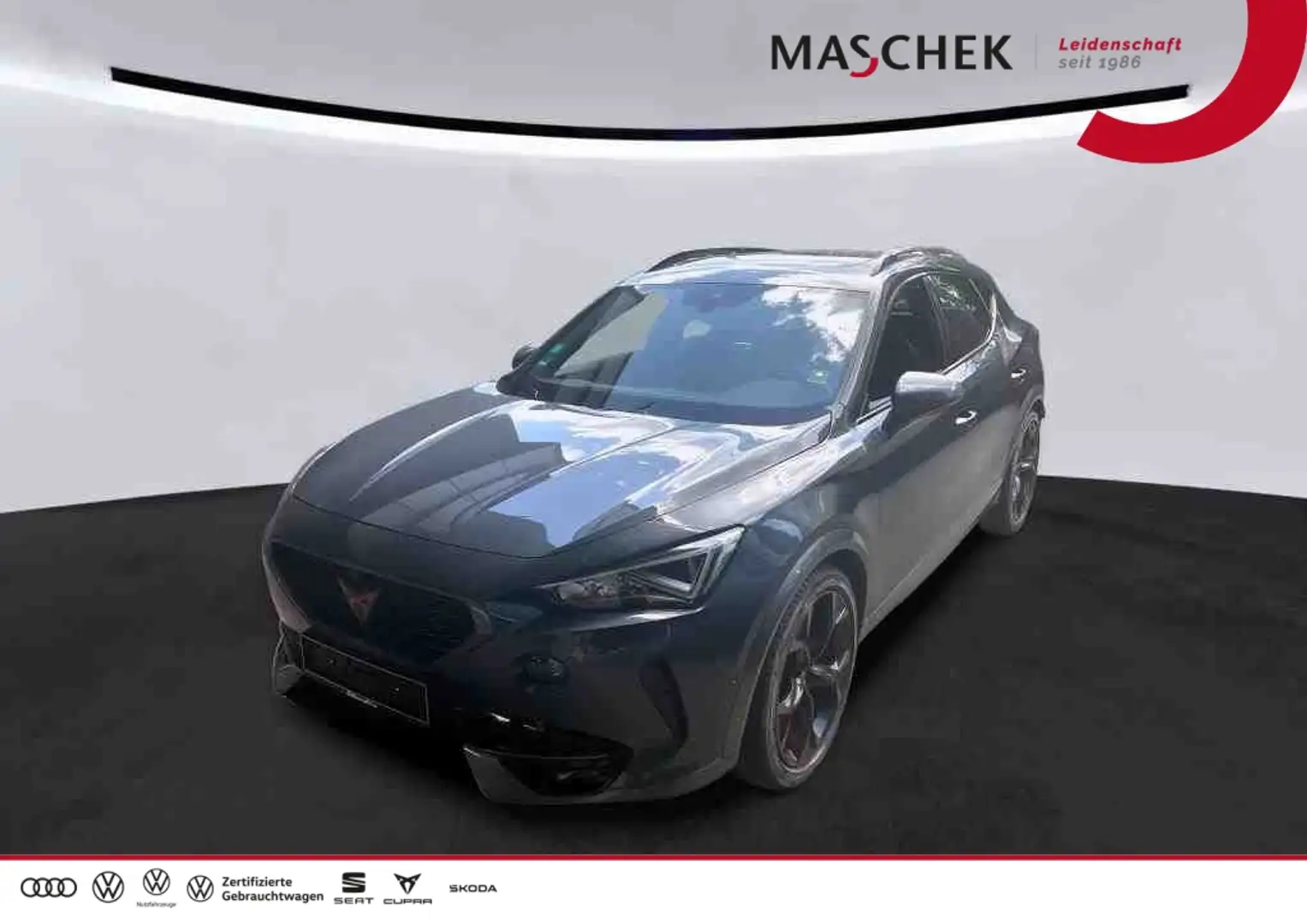 CUPRA Formentor 2.0 TSI DSG Pano *Beats* Memory 360° Pano Grau - 1