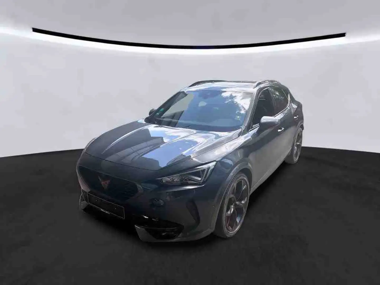 CUPRA Formentor 2.0 TSI DSG Pano *Beats* Memory 360° Pano Grau - 2