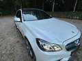 Mercedes-Benz E 63 AMG 4-matic massag-Pano-Keyless-360•-19 AMG Service Wit - thumbnail 11
