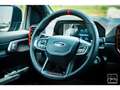 Ford Ranger Raptor Ranger Raptor NEUF 2025 3.0l Ecoboost v6 292cv TVA Grigio - thumbnail 33