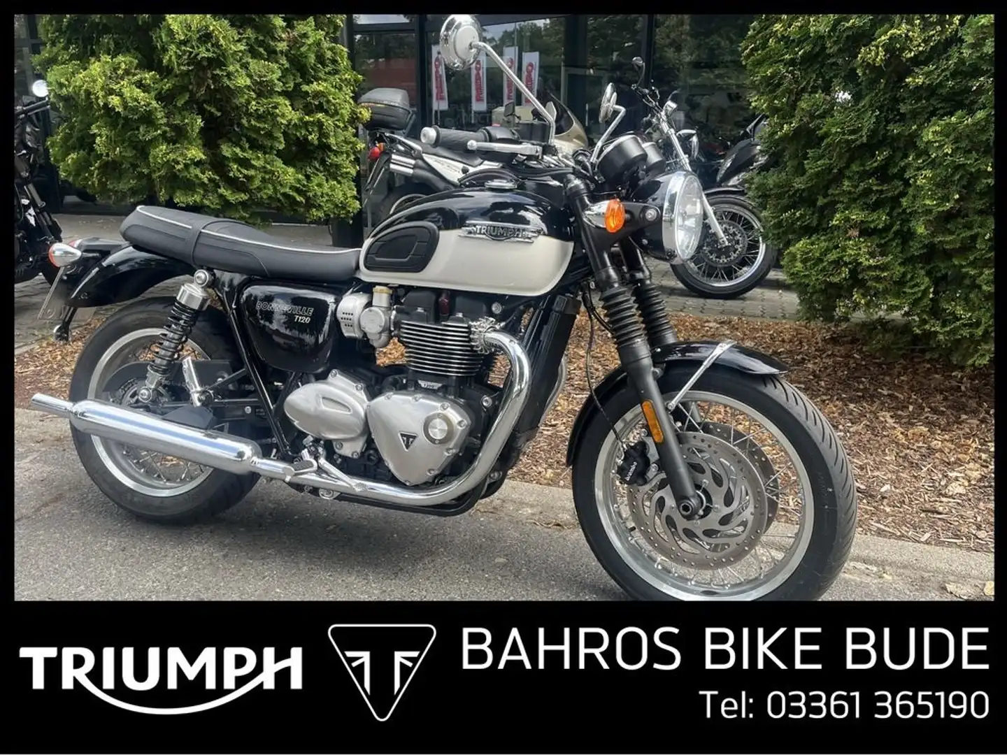 Triumph Bonneville T120 Чёрный - 1
