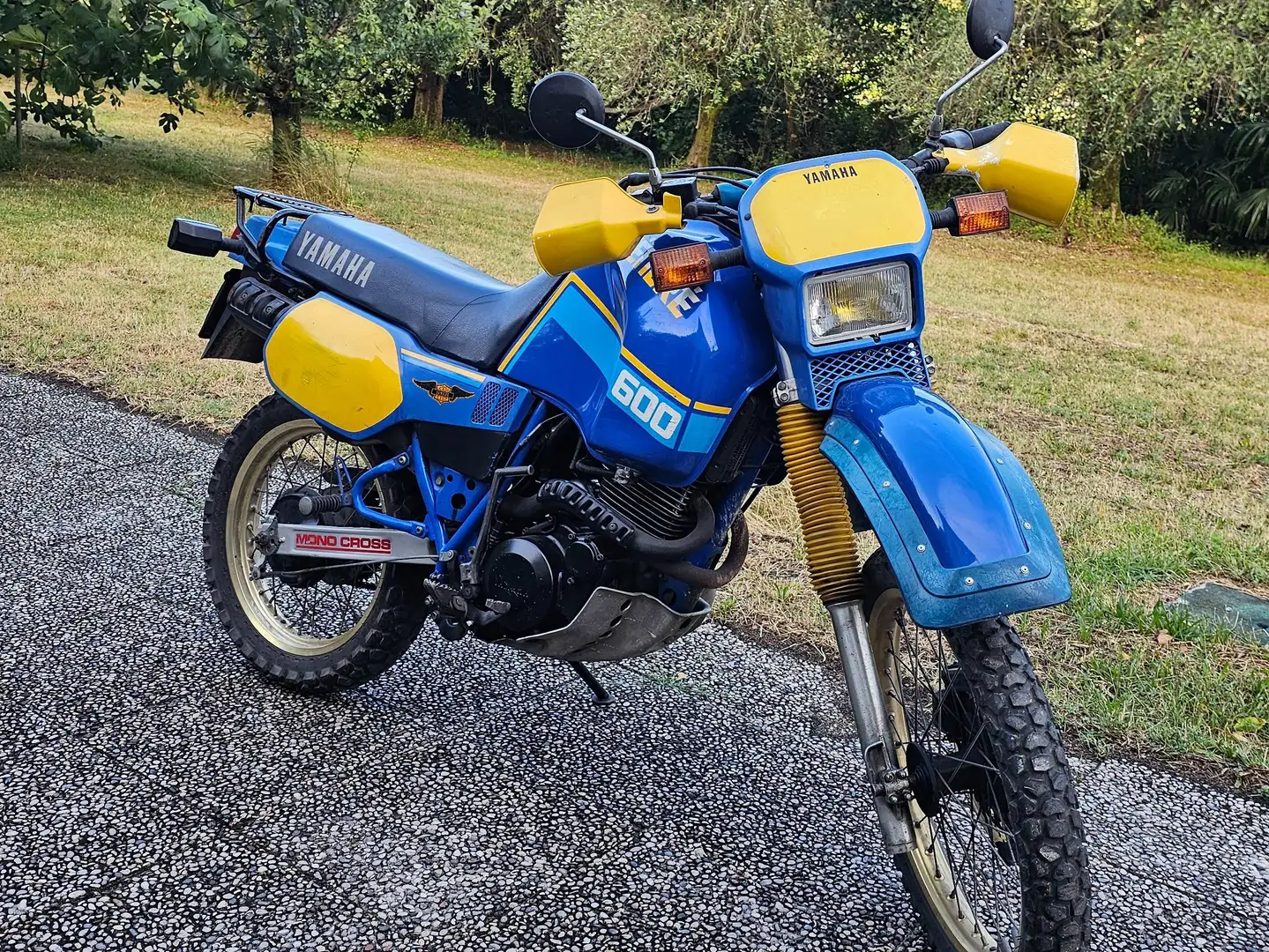 Yamaha XT 600 z Tènèrè Blu/Azzurro - 1