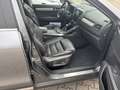 Renault Koleos Initiale Paris TCe 160 Klima Navi Leder Grau - thumbnail 15