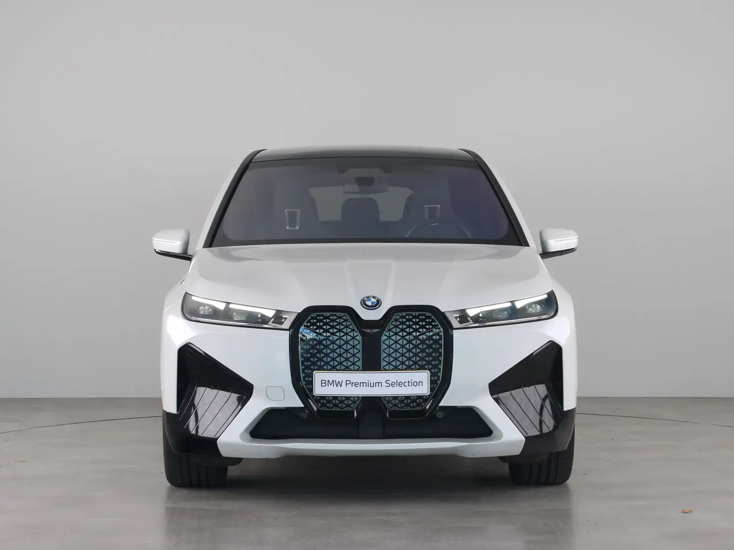 BMW iX xDrive40 High Executive 77 kWh Trekhaak Wit - 2