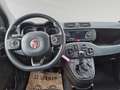 Fiat Panda TwinAir 85 4x4 Wild Grau - thumbnail 5