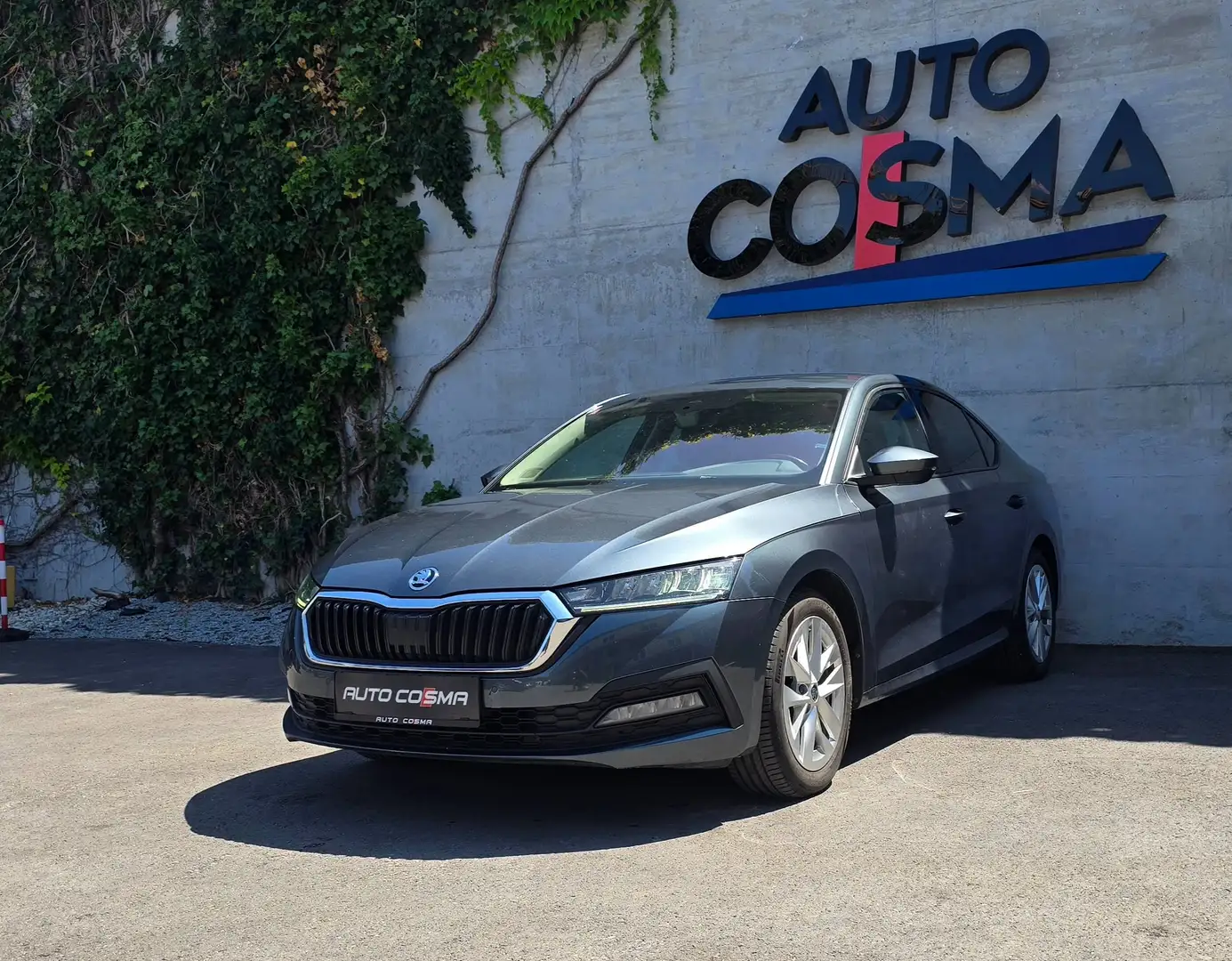 Skoda Octavia Ambition /KAMERA/ACC/ Grau - 1