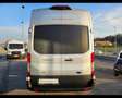 Ford Transit Bunkervan Forested Awd 2.0Tdci 170cv 6mt Argento - thumbnail 6