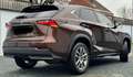 Lexus NX 300h 2.5i AWD Executive Line E-CVT Kahverengi - thumbnail 4