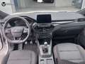Ford Kuga 2.0 EcoBlue MEHV ST-Line FWD 150 Blanco - thumbnail 10