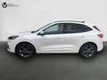 Ford Kuga 2.0 EcoBlue MEHV ST-Line FWD 150 Blanco - thumbnail 2