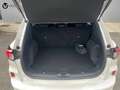 Ford Kuga 2.0 EcoBlue MEHV ST-Line FWD 150 Blanco - thumbnail 5