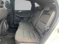 Ford Kuga 2.0 EcoBlue MEHV ST-Line FWD 150 Blanco - thumbnail 16